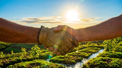 mondelinge afspraken over grondgebruik kunnen leiden tot onverwachte fiscale gevolgen. ontdek hoe u deze risico's kunt vermijden en juridische problemen kunt voorkomen.